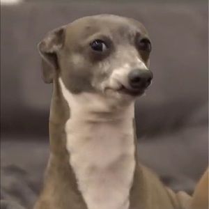 Meet your Posher, Kaliyah